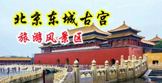 国产偷情性XXXX中国北京-东城古宫旅游风景区